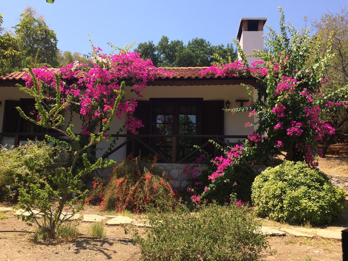 Selimiye Houses Εξωτερικό φωτογραφία